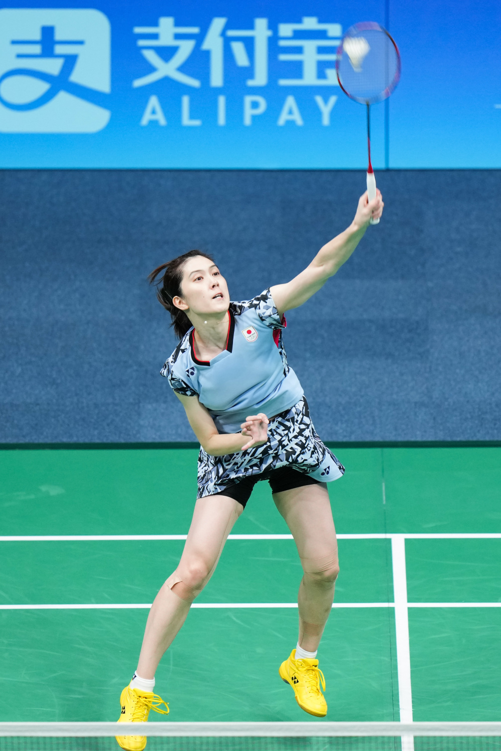 不仅吸引了 不仅吸引了